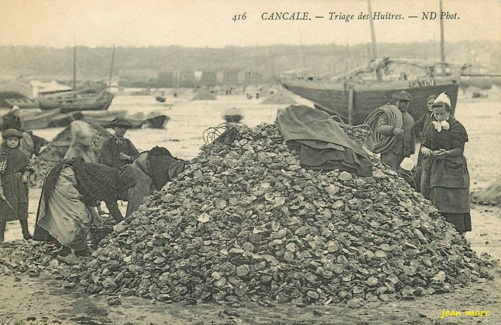 Cancale - Triage des Huîtres.jpg