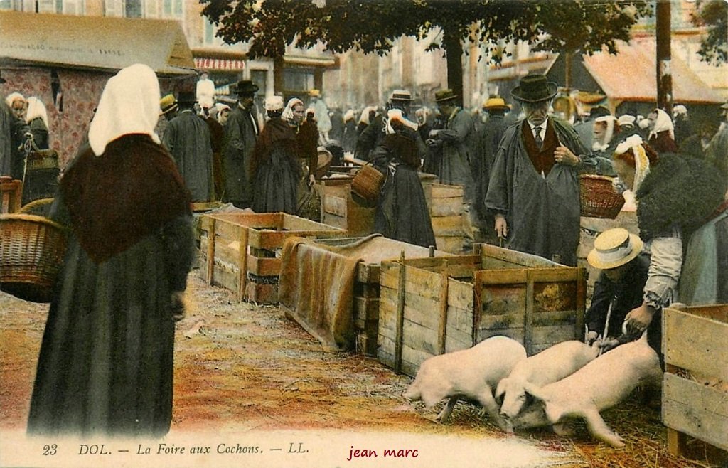 Dol - La Foire aux Cochons.jpg