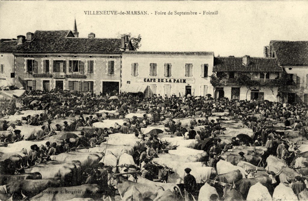 Villeneuve de Marsan Bergeret.jpg