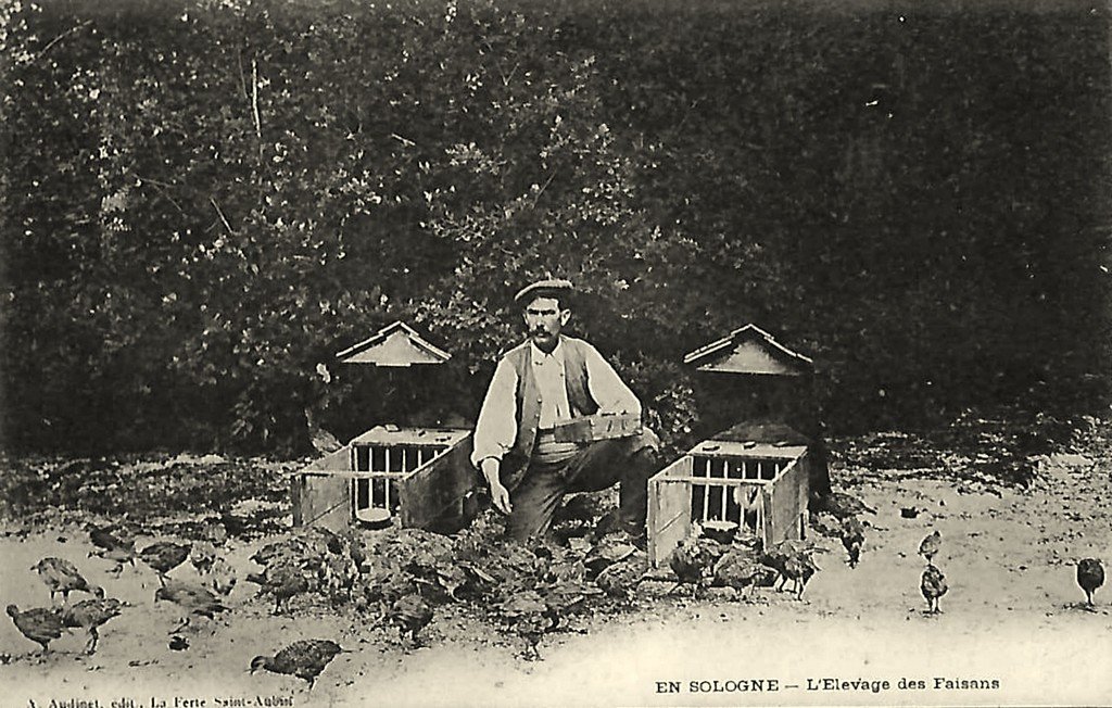 En Sologne (2).jpg
