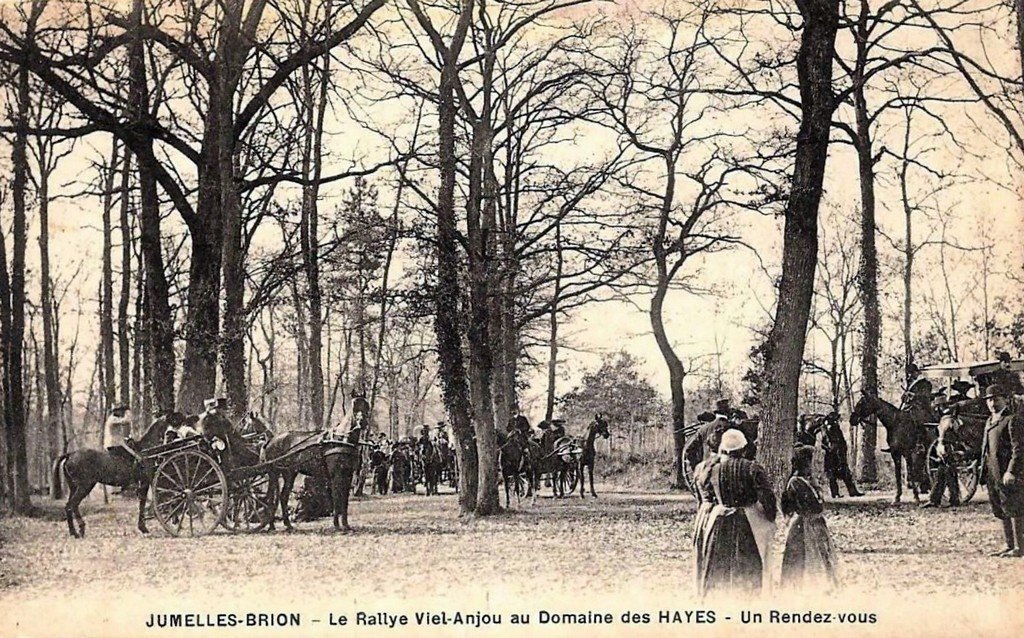 Brion (8).jpg